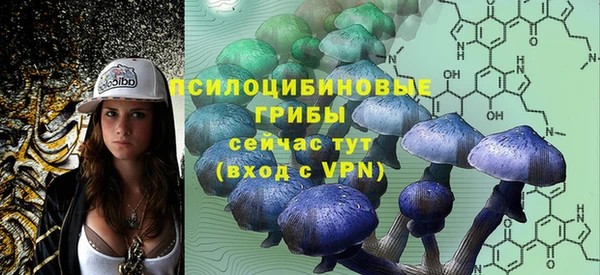крисы Дмитриев