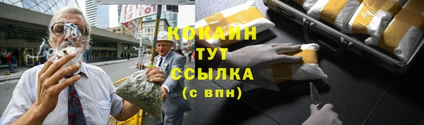 крисы Дмитриев