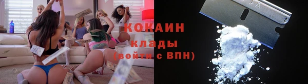 крисы Дмитриев