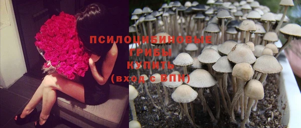 гидра Дмитровск